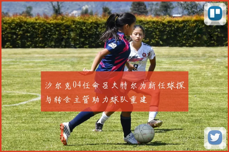 沙尔克04任命吕夫特尔为新任球探与转会主管助力球队重建