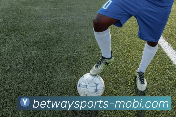 必威体育APP 封面图