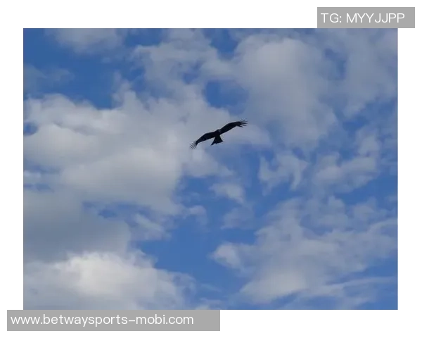 半岛都市报：新疆男篮状态平平今晚雄鹰力争首次突破天山高峰